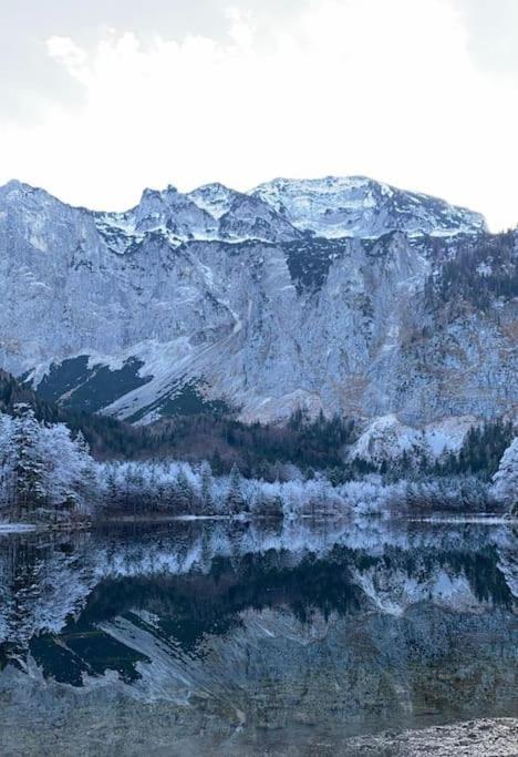 Wohnung See- Und Bergnaehe Gmunden Exteriör bild